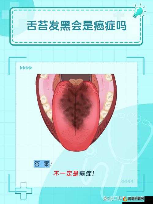 家里什么东西可以代替舌头：关于这个有趣问题的探讨与分析